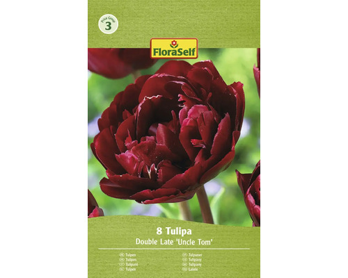Tulipány plnokveté FloraSelf 'Uncle Tom' 11/12 8 ks