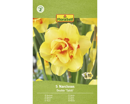 Narcisy plnokveté FloraSelf 'Tahiti' 5 ks