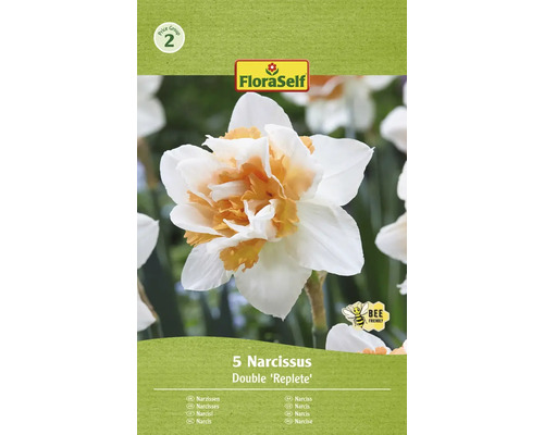 Narcisy plnokveté FloraSelf 'Replete' 12/14 5 ks