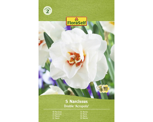 Narcisy FloraSelf 'Acropolis' 5 ks