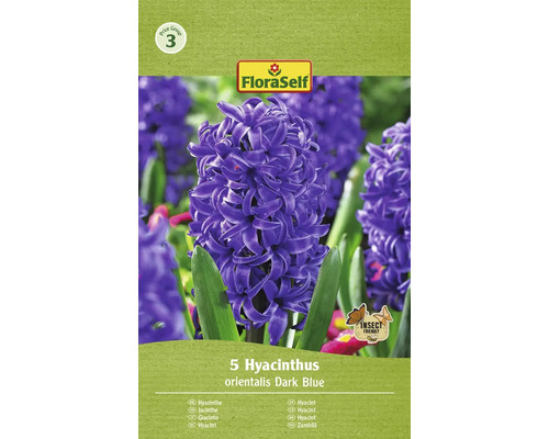 Hyacinty orientálne FloraSelf 'Orientalis' tmavomodré 5 ks