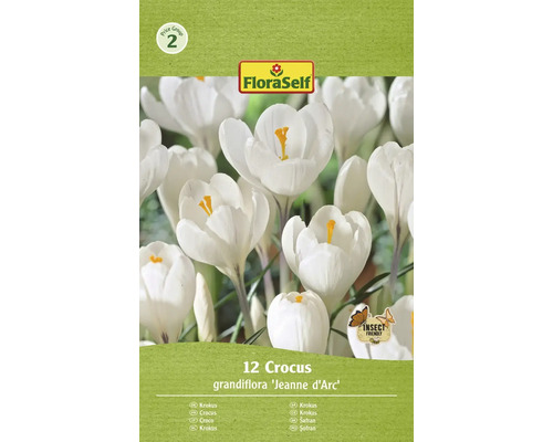 Šafran FloraSelf 'Jeanne d'Arc' 12 ks