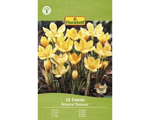 Šafran FloraSelf 'Romancia' 15 ks