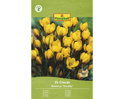Šafran FloraSelf 'Dorothy' 15 ks