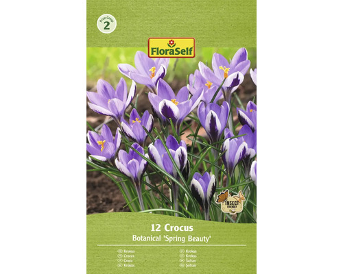 Krókusy FloraSelf 'Spring Beauty' 5/7 12 ks