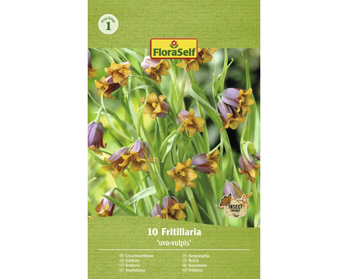 Korunkovka kráľovská FloraSelf 'Uva-Vulpis' 10 ks
