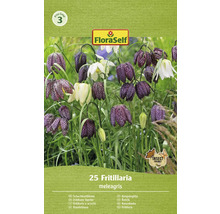 Balenie cibuliek kvetov Kockovaná ľalia FloraSelf so symbolom priaznivým pre hmyz