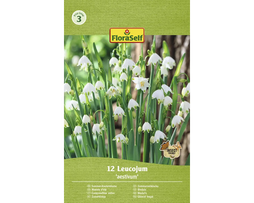 Bleduľa letná FloraSelf 'Aestivum' 12 ks