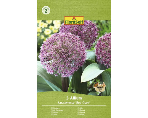 Okrasný cesnak Red Giant FloraSelf 'Red Giant' 10/12 3 ks