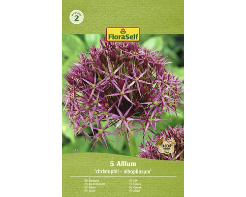 Okrasný cesnak FloraSelf 'Albopilosum' 5 ks