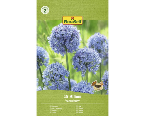 Okrasný cesnak FloraSelf 'Caeruleum' 5/6 15 ks
