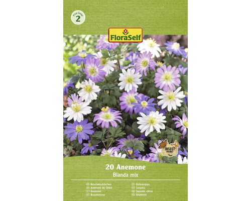Sasanka balkánska FloraSelf 'Blanda mix' 20 ks