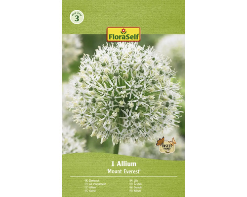 Okrasný cesnak FloraSelf 'Mount Everest' 1 ks