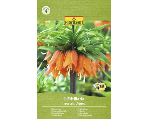 Korunkovka FloraSelf 'Imperialis Aurora' 1 ks