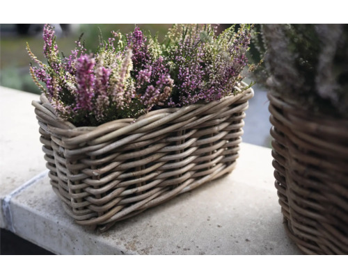 Kvitnúci vres vo vŕbovom košíku