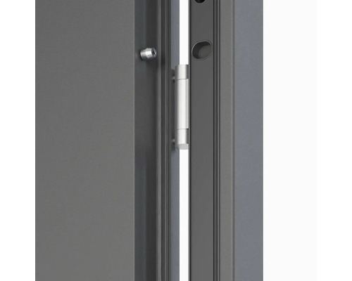 Detail dverí so strieborným pántom