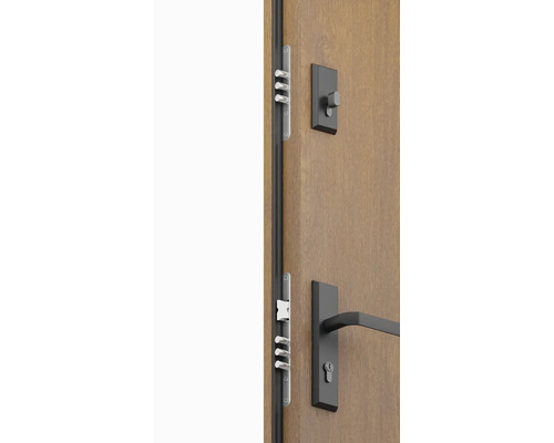 Bezpečnostné dvere s viacbodovým zámkom a kovaním