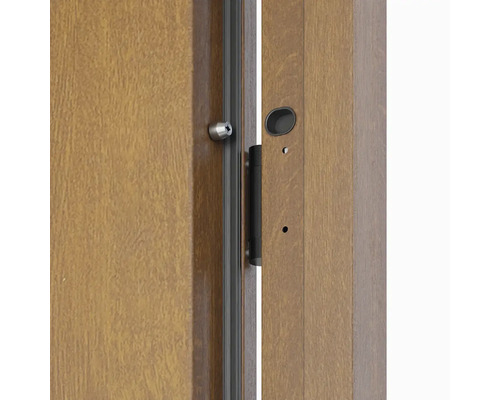 Detail drevených dverí so zámkom a kovaním