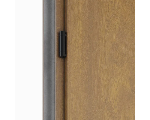 Detail dverí s pántom a rámom