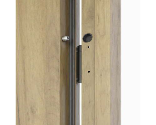 Detailný pohľad na drevené dvere so zámkom a kovaním