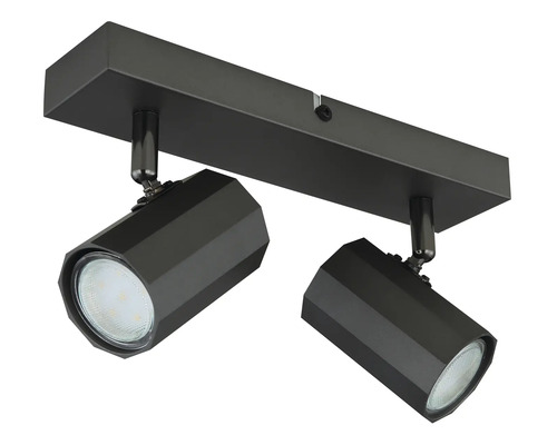 Stropné svietidlo s dvoma reflektormi