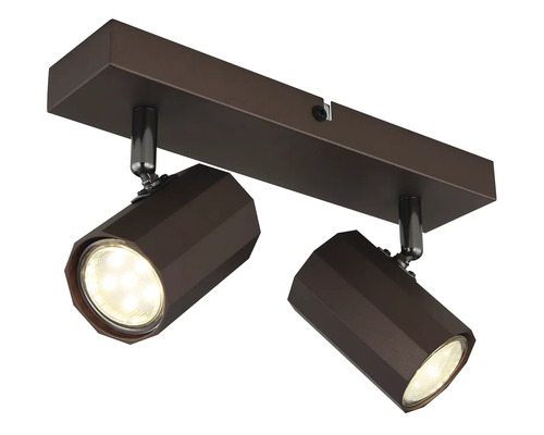 Stropné svietidlo s dvoma reflektormi na interiérové osvetlenie