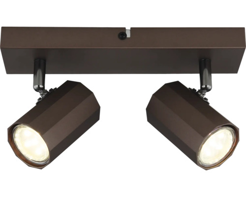 Stropné svietidlo s dvoma reflektormi