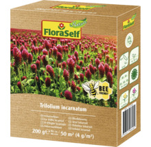 Balenie semien ďateliny purpurovej FloraSelf