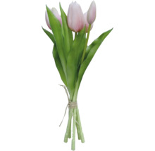 Kytica tulipánov so zelenými stonkami a ružovými kvetmi
