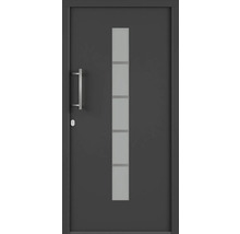 Vchodové dvere so sklenenou výplňou a kľučkou