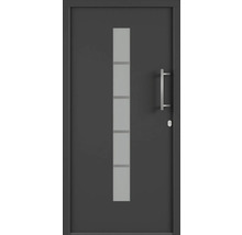 Vchodové dvere so sklenenou vložkou a madlom