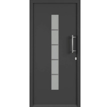 Vchodové dvere so sklenenou vložkou a kľučkou