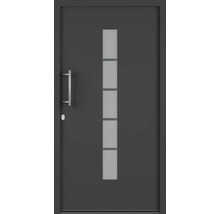 Moderné vchodové dvere so sklenenou vložkou a kľučkou