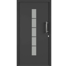 Vchodové dvere so sklenenou vložkou a nerezovou kľučkou