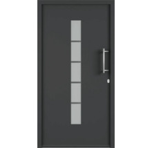 Moderné vchodové dvere s sklenenou vložkou a kľučkou