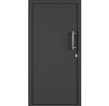 Vchodové dvere s madlom