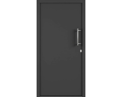 Vchodové dvere s madlom