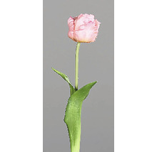Jednotlivý ružový tulipán ako dekorácia