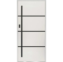 Vchodové dvere s priamočiarym dizajnom