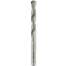 Vrták do muriva Alpen Long Life Ø 10 mm