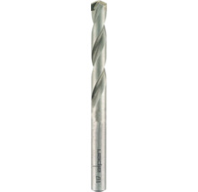 Vrták do muriva Alpen Long Life Ø 4 mm