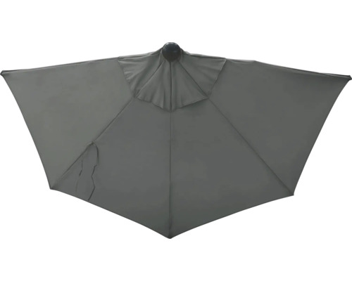 Sivý slnečník zdola