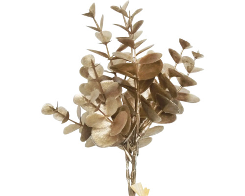 Dekoratívne eukalyptové vetvy do interiéru