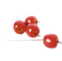 Dekoratívne jablko pre kvetinové aranžmány