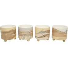 Štyri kvetináče s púštnym motívom