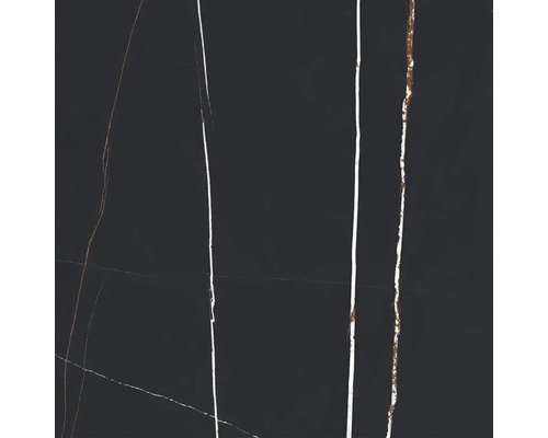 Tmavá dlaždica s bielymi a hnedými žilami