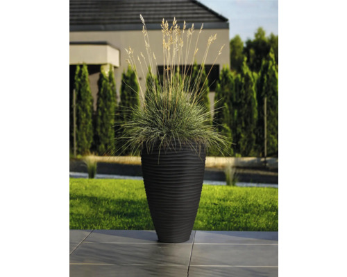 Ozdobná rastlina v rebrovanom kvetináči vonku.