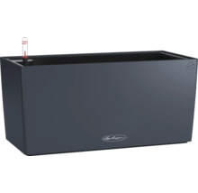 Kvetináč Lechuza so zavlažovacím systémom