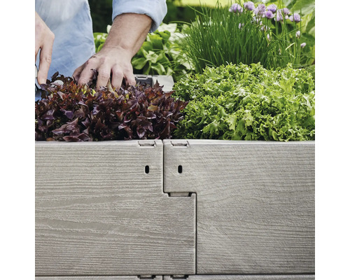 Vyvýšený záhon osadený šalátom a bylinkami