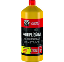 Debbex hĺbková penetrácia proti plesniam